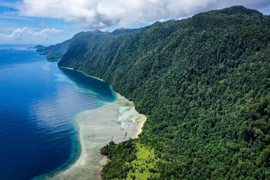 Відпочинок на Лабенгкі Група туристів відпочиває на пляжі острова Лабенгкі, Сулавесі, 2026 рік.