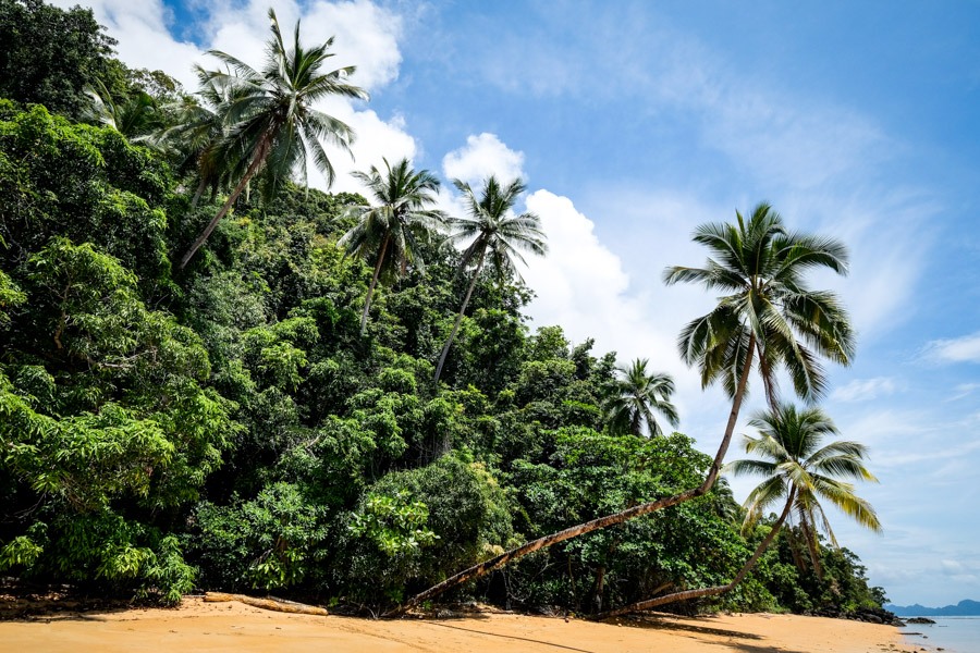 Пляжний відпочинок Лабенгкі Мальовничий пляж з білим піском на острові Лабенгкі, Сулавесі
