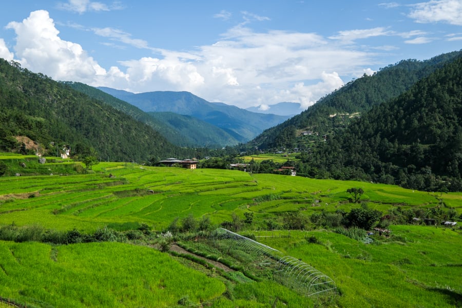 7 Days In Bhutan Travel Itinerary: Best Things To Do & See 7-денний туристичний маршрут по Бутану: найкращі місця, які можна побачити та зробити 15