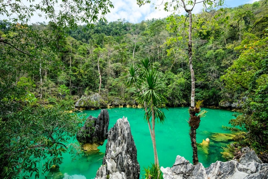 Корали Лабенгкі Різнобарвний морський світ біля острова Лабенгкі, Південно-Східний Сулавесі