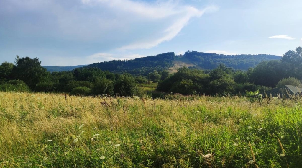 Стежки Буковиці Фотографії пішого підйому на Буковицю з Трускавця: лісові стежки та види на гори.