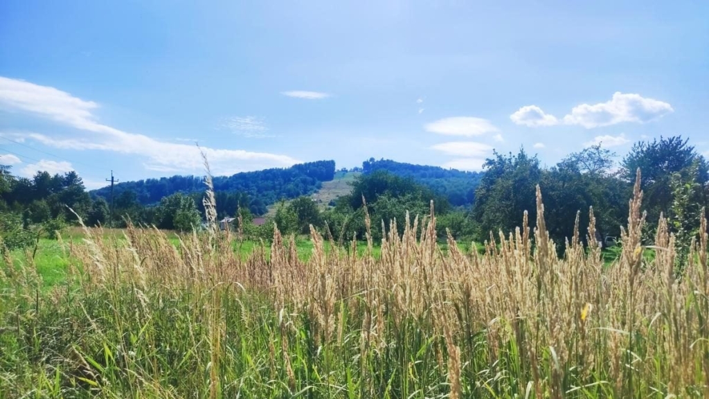 Вершина Буковиці Піша мандрівка на гору Буковиця: фотозвіт про мальовничі краєвиди з вершини.