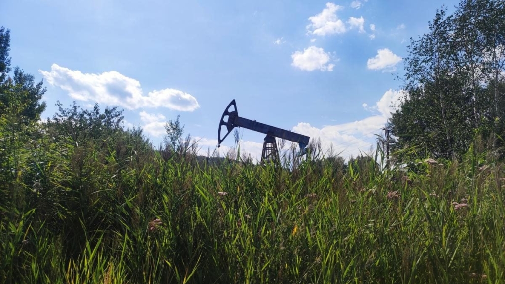 Буковиця: відпочинок Відпочинок на горі Буковиця: як дійти пішки з Трускавця та що побачити.