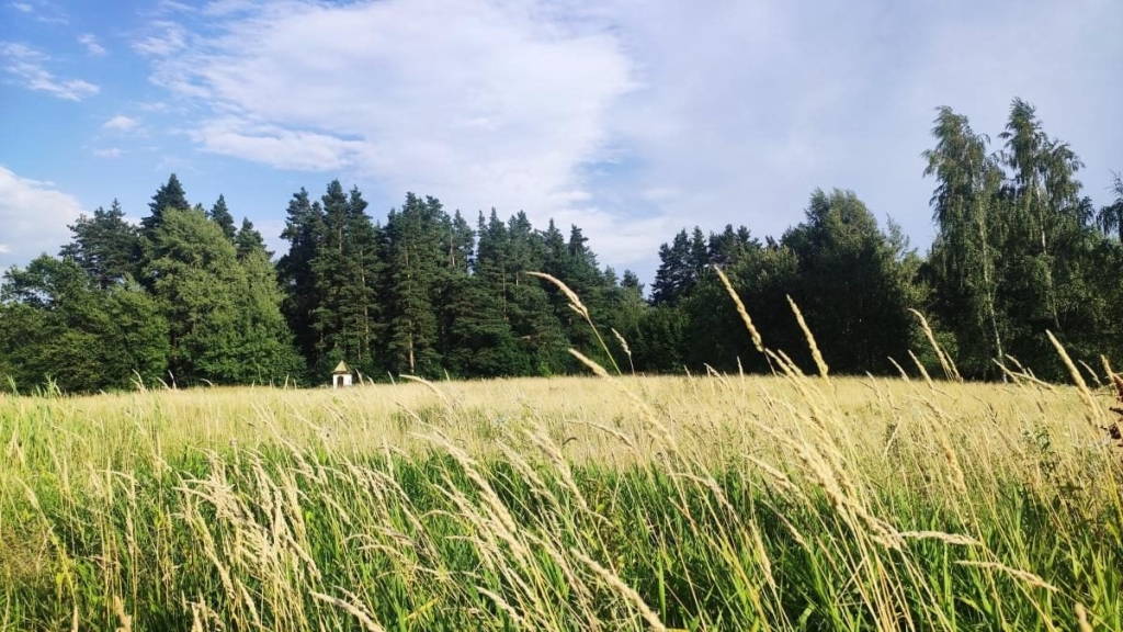 Буковиця: вражаючі краєвиди Прогулянка на гору Буковиця: фотозвіт з захоплюючими краєвидами навколо Трускавця.