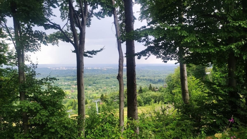 Туристи на Буковиці Туристи на маршруті до вершини Буковиця: піший похід з Трускавця.