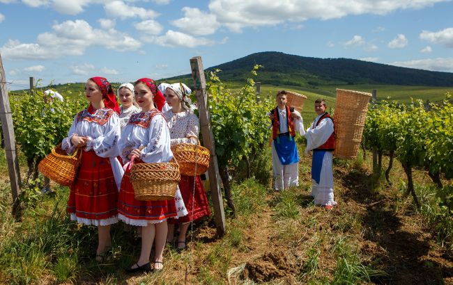 Дегустації, підвали та вечері серед виноградників: топ-локації для винного туризму в Україні Дегустації, підвали та вечері серед виноградників: топ-локації для винного туризму в Україні 1