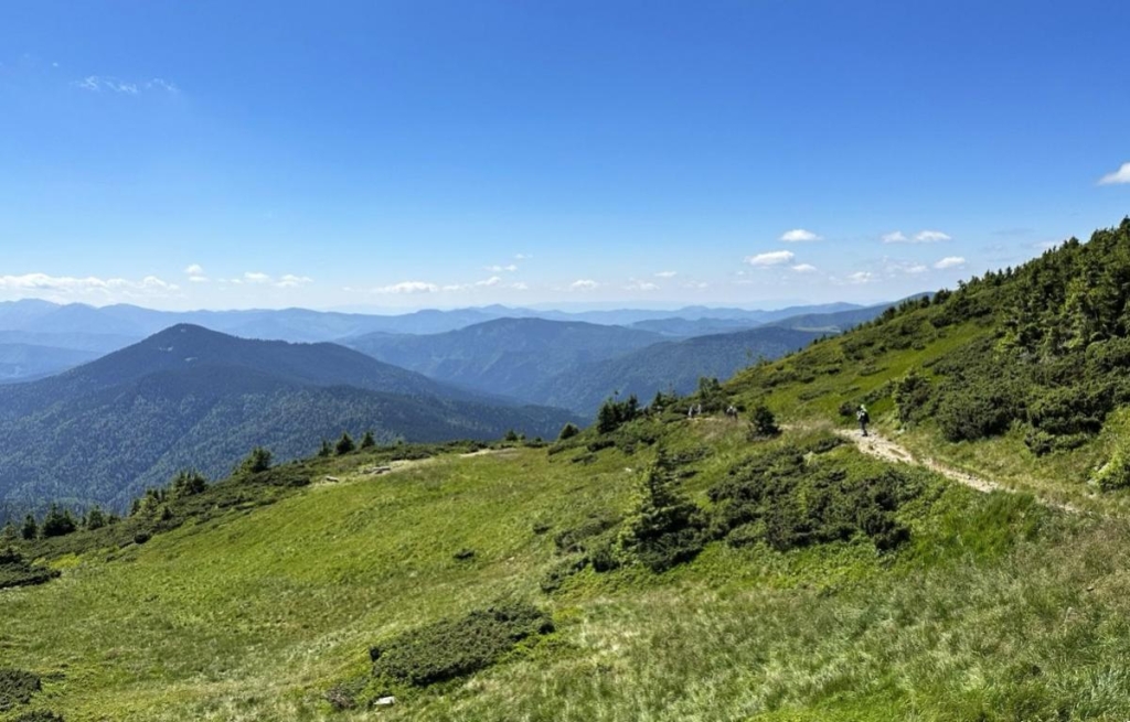 Літо в Карпатах Літній похід в Карпати, ідеальний час для підкорення Говерли та Чорногірського хребта.