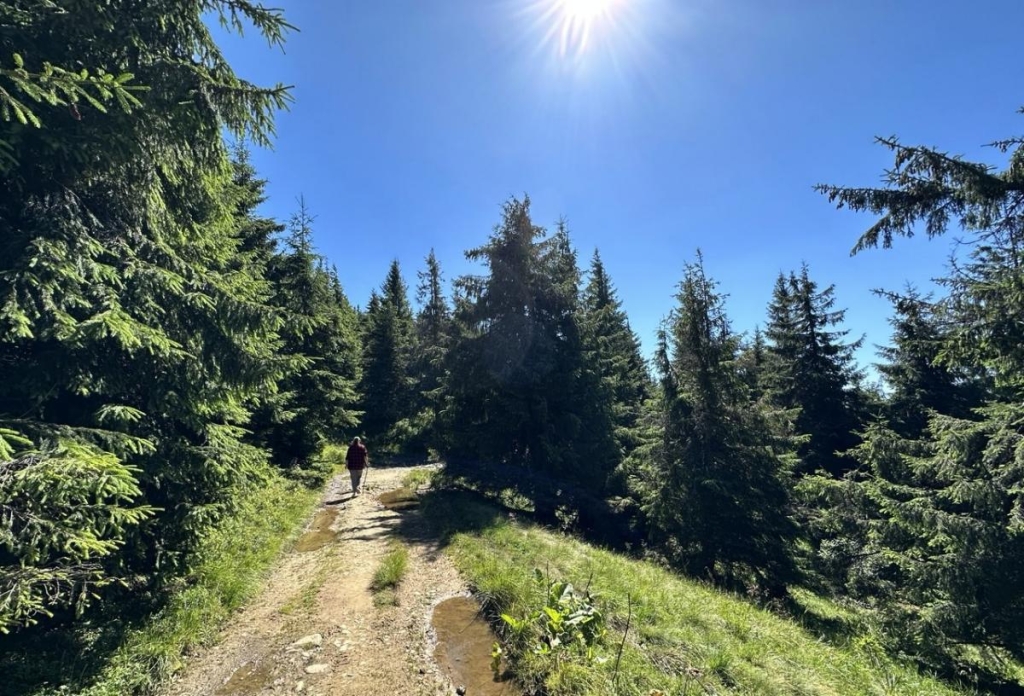 Карпати: легкий маршрут Простіший маршрут для новачків у Карпатах: безпечний похід в гори.