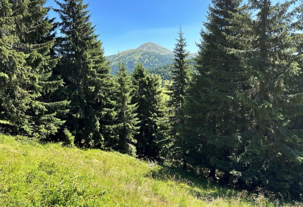 Зміна погоди в горах Погода в Карпатах мінлива, потрібно бути готовим до швидких змін під час походу.