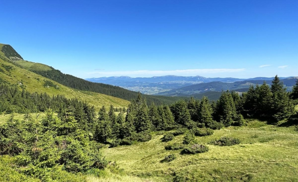 Маршрути на Говерлу Різні маршрути до Говерли, вибір шляху для сходження на вершину Карпат.