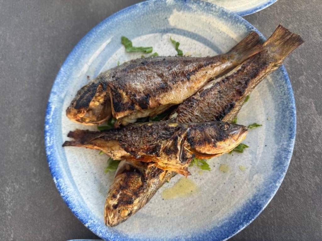 Інший Єгипет: північне узбережжя запрошує українців, але ще не навчилось, як нам догодити 72 Інший Єгипет: північне узбережжя запрошує українців, але ще не навчилось, як нам догодити