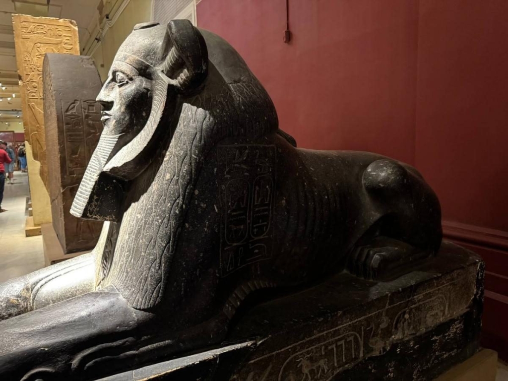 Інший Єгипет: північне узбережжя запрошує українців, але ще не навчилось, як нам догодити 22 Інший Єгипет: північне узбережжя запрошує українців, але ще не навчилось, як нам догодити