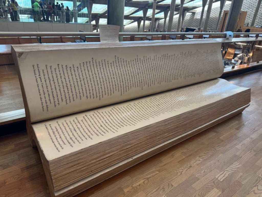 Інший Єгипет: північне узбережжя запрошує українців, але ще не навчилось, як нам догодити 14 Інший Єгипет: північне узбережжя запрошує українців, але ще не навчилось, як нам догодити