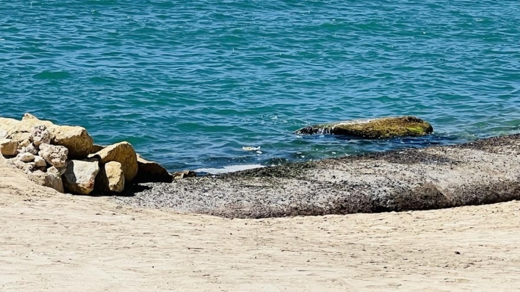 Інший Єгипет: північне узбережжя запрошує українців, але ще не навчилось, як нам догодити 48 Інший Єгипет: північне узбережжя запрошує українців, але ще не навчилось, як нам догодити