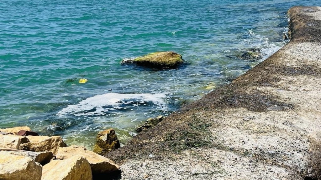 Інший Єгипет: північне узбережжя запрошує українців, але ще не навчилось, як нам догодити 47 Інший Єгипет: північне узбережжя запрошує українців, але ще не навчилось, як нам догодити