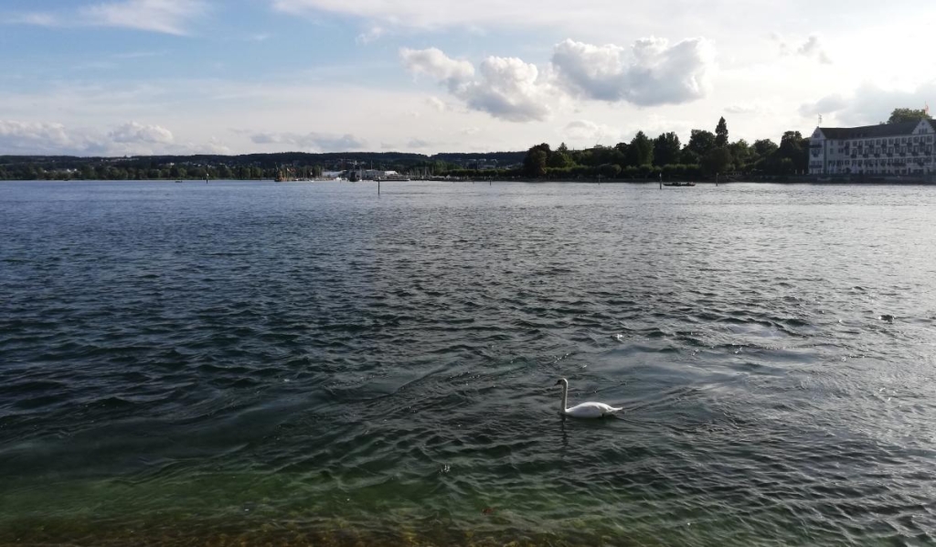 Констанц: німецьке місто з дивакуватими скульптурами на неосяжному Боденському озері 8 Краєвид на Боденське озеро з Констанца / фото Марина Григоренко