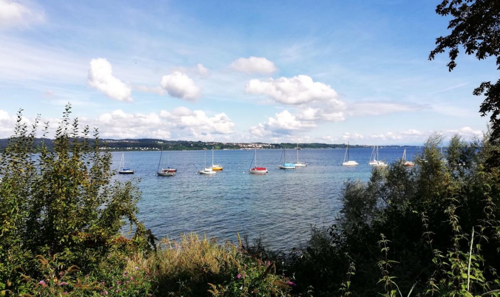 Констанц: німецьке місто з дивакуватими скульптурами на неосяжному Боденському озері 1 Боденське озеро вражає розмірами / фото Марина Григоренко