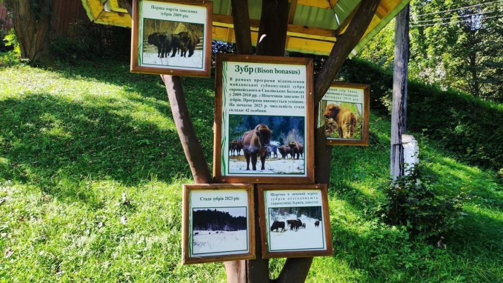 Майдан: колись процвітаюче село на Львівщині, нині ніби застигло у часі (фоторепортаж) 19 Майдан: колись процвітаюче село на Львівщині, нині ніби застигло у часі (фоторепортаж)