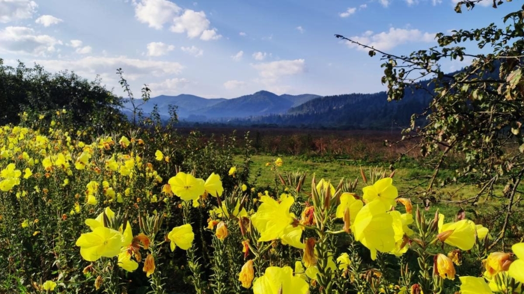 Майдан: колись процвітаюче село на Львівщині, нині ніби застигло у часі (фоторепортаж) 30 Майдан: колись процвітаюче село на Львівщині, нині ніби застигло у часі (фоторепортаж)