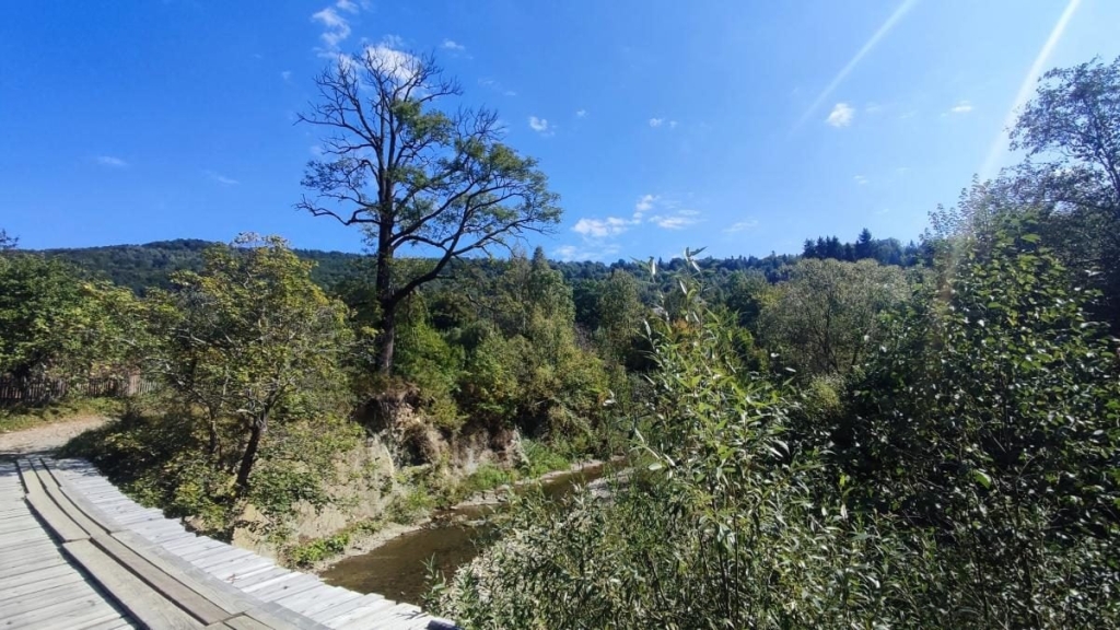 Майдан: колись процвітаюче село на Львівщині, нині ніби застигло у часі (фоторепортаж) 20 Майдан: колись процвітаюче село на Львівщині, нині ніби застигло у часі (фоторепортаж)