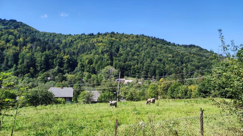 Майдан: колись процвітаюче село на Львівщині, нині ніби застигло у часі (фоторепортаж) 21 Майдан: колись процвітаюче село на Львівщині, нині ніби застигло у часі (фоторепортаж)