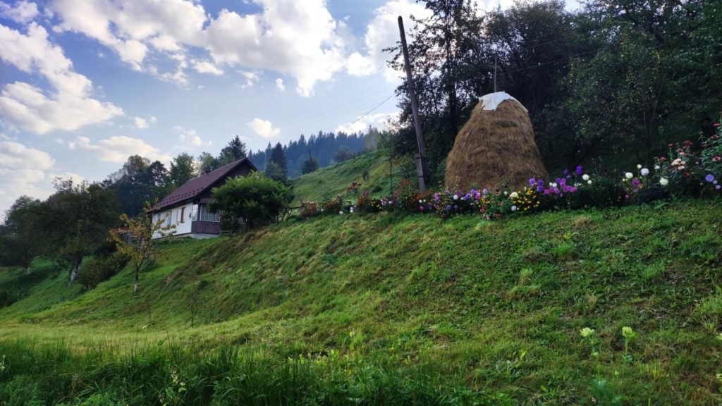 Майдан: колись процвітаюче село на Львівщині, нині ніби застигло у часі (фоторепортаж) 31 Майдан: колись процвітаюче село на Львівщині, нині ніби застигло у часі (фоторепортаж)