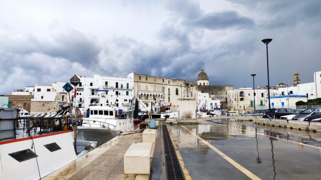 Монополі: Затишна Італія Монополі, Італія: мальовничі білі будинки - чудова альтернатива Поліньяно-а-Маре на Адріатичному узбережжі.