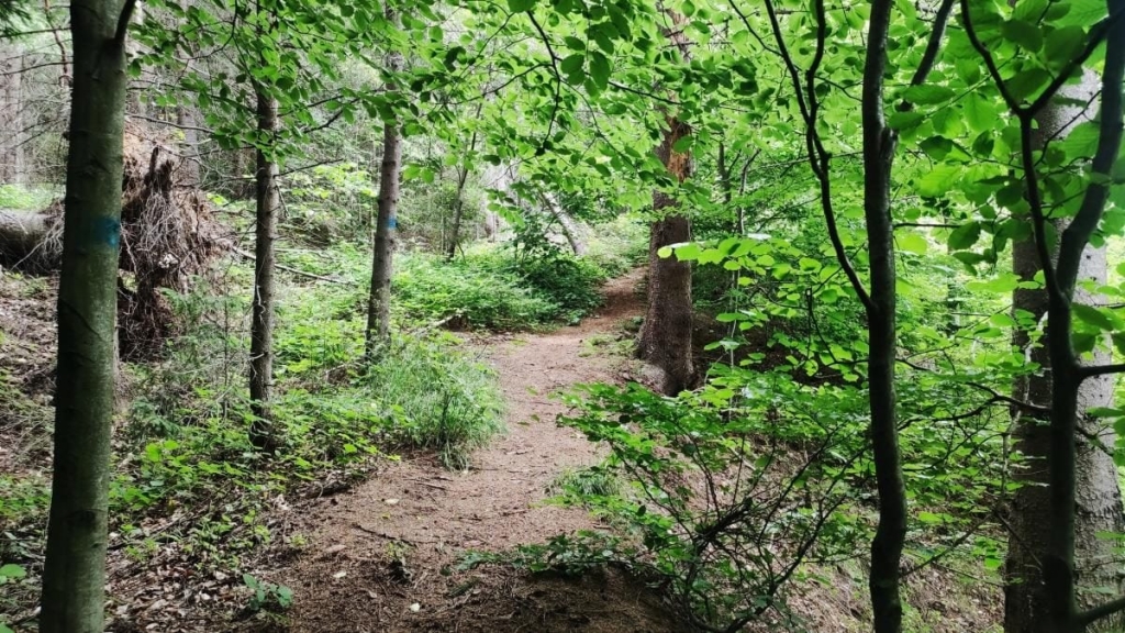 Татарів: тихий рай між галасливими Яремче та Буковелем 11 Татарів: тихий рай між галасливими Яремче та Буковелем