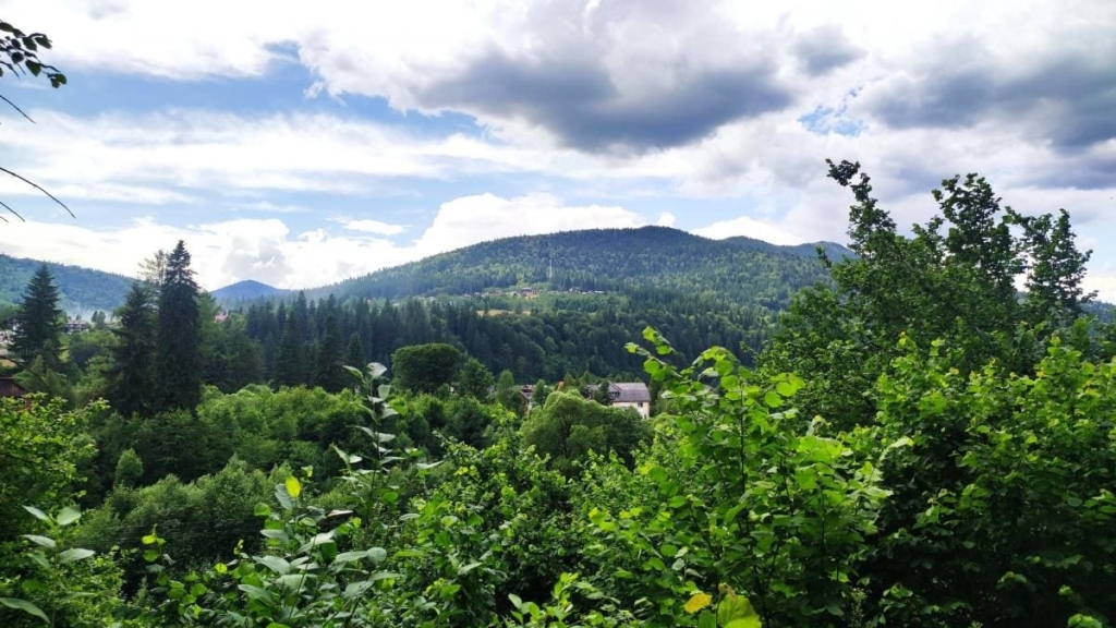 Татарів: тихий рай між галасливими Яремче та Буковелем 9 Татарів: тихий рай між галасливими Яремче та Буковелем