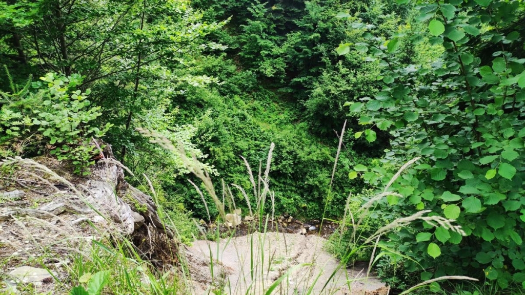 Татарів: тихий рай між галасливими Яремче та Буковелем 46 Десь там внизу водоспад Мотрук / фото Марина Григоренко