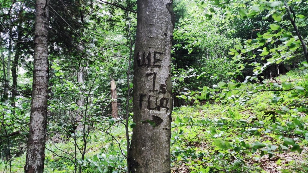 Татарів: тихий рай між галасливими Яремче та Буковелем 48 Можна зустріти і такі помітки / фото Марина Григоренко