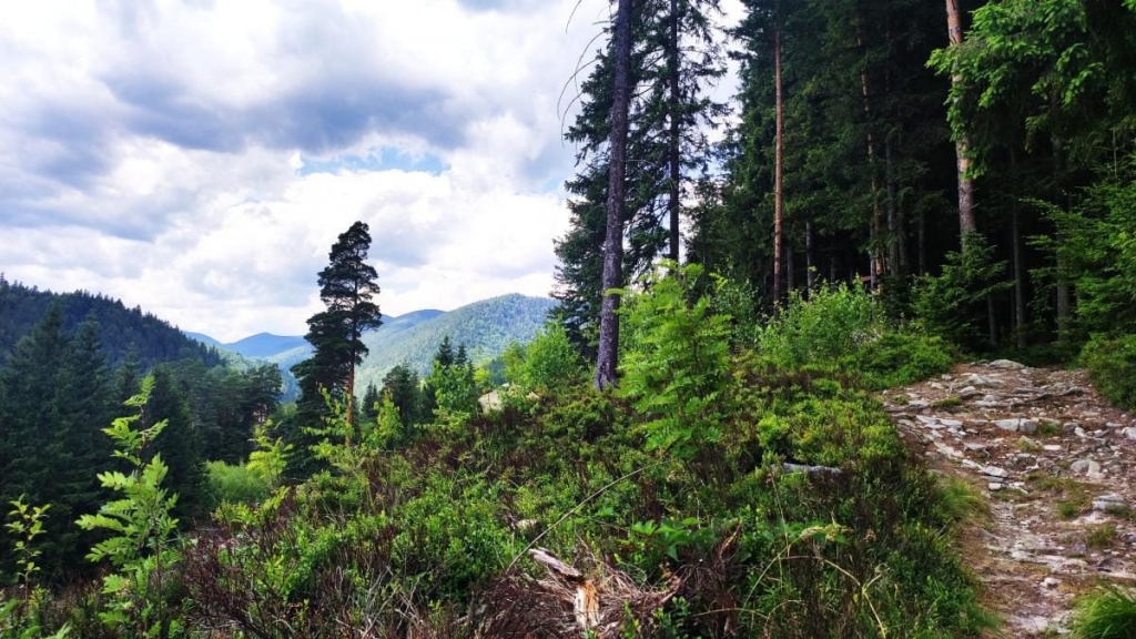 Татарів: тихий рай між галасливими Яремче та Буковелем 19 Татарів: тихий рай між галасливими Яремче та Буковелем
