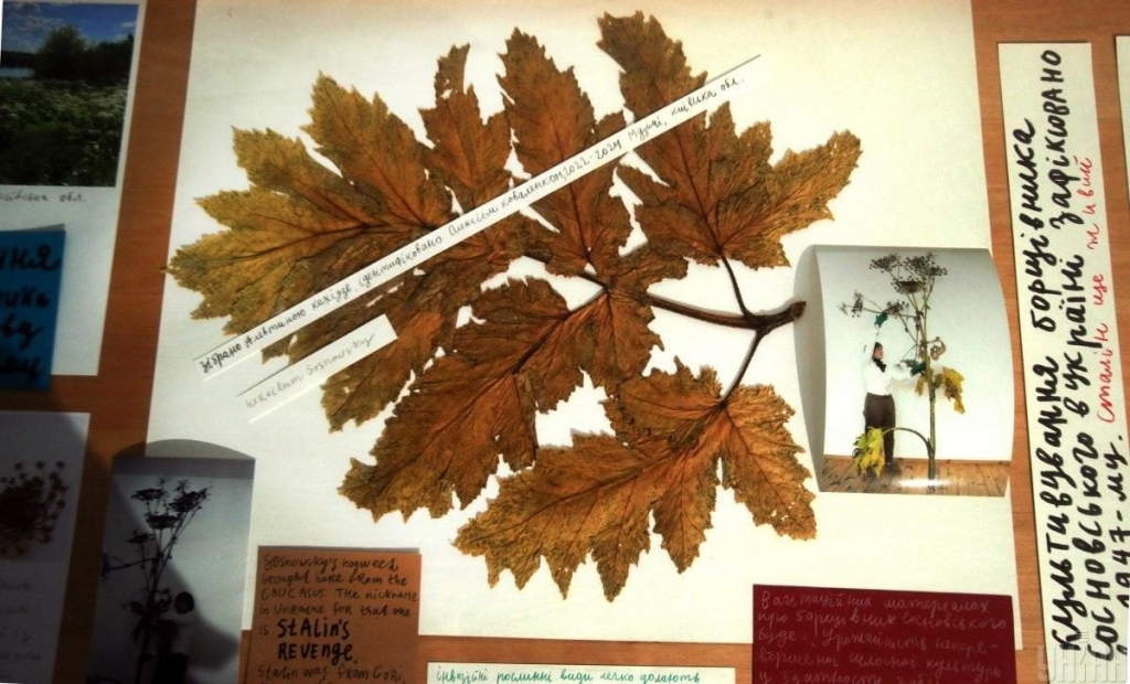 У PinchukArtCentre представили одразу шість нових виставок (фоторепортаж) 16 У PinchukArtCentre представили одразу шість нових виставок (фоторепортаж)