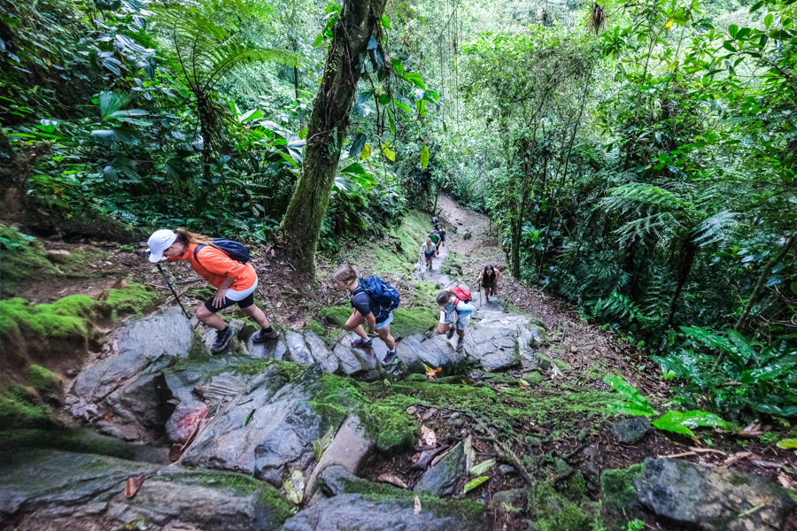 Річка на шляху Група туристів перетинає річку під час трекінгу до Загубленого міста.