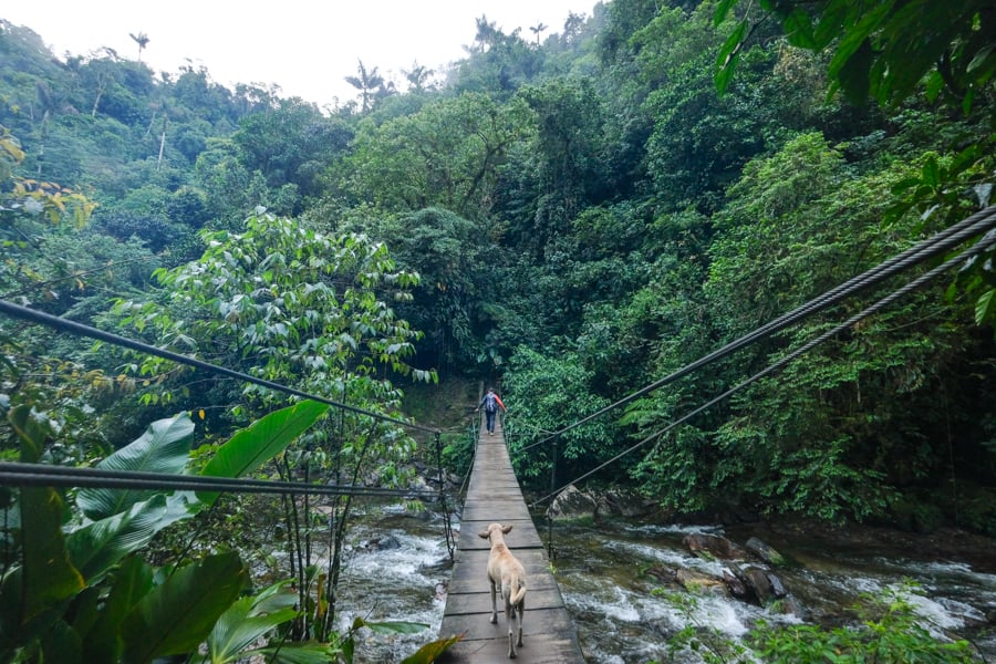 Підйом до Загубленого Міста Люди йдуть вгору кам'яними сходами, щоб дістатися до Загубленого міста