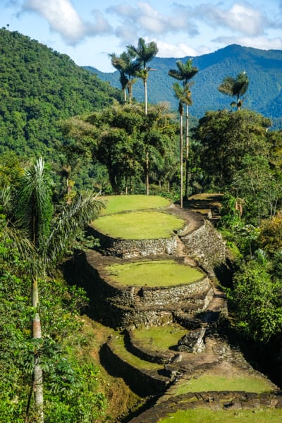 Панорама джунглів Колумбії Вид на Колумбійські джунглі під час походу до Загубленого міста