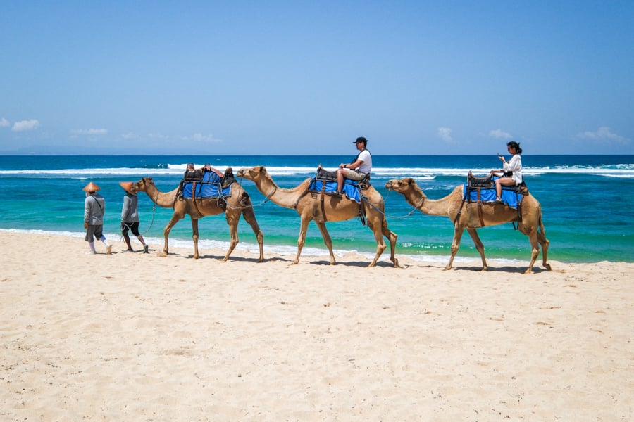 Спокійний Санур Вид на спокійний пляж Санур з пальмами та шезлонгами