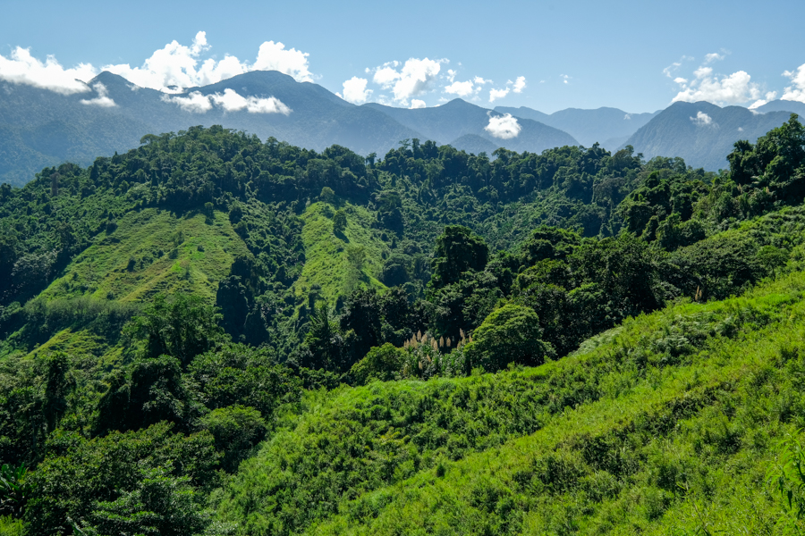 Зустріч з корінним населенням Представники корінного населення в традиційному одязі в Загубленому місті.