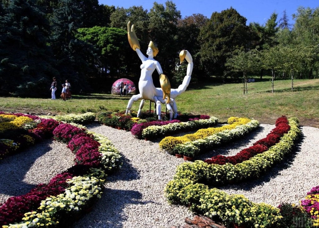 На Співочому полі у Києві відкрилася астрологічна виставка хризантем (фоторепортаж) 2 На Співочому полі у Києві відкрилася астрологічна виставка хризантем (фоторепортаж)