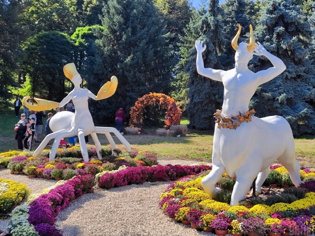 На Співочому полі у Києві відкрилася астрологічна виставка хризантем (фоторепортаж) 3 На Співочому полі у Києві відкрилася астрологічна виставка хризантем (фоторепортаж)