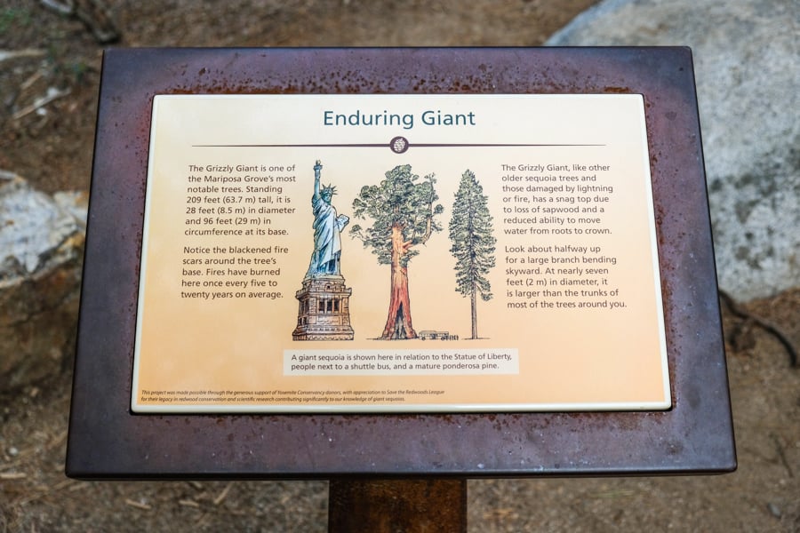 Водоспади: Весняний Потік Водоспади Йосеміті весною: буйна вода спадає з гранітних скель.