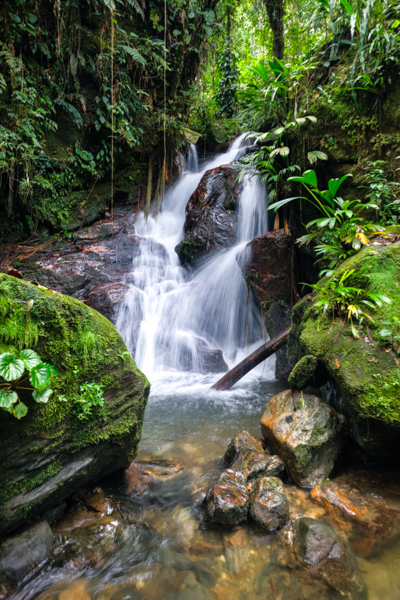 Загублене місто Тайрона Загублене місто, руїни стародавньої цивілізації Тайрона в Колумбії