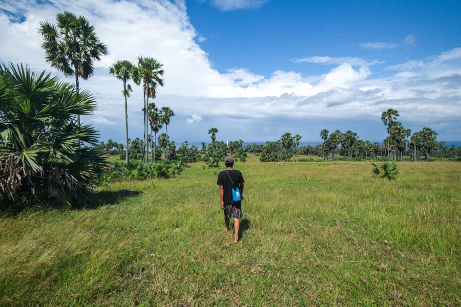 Ринок Флоресу: колорит Барвистий місцевий ринок у Флоресі, Індонезія: фрукти, овочі, місцеві делікатеси