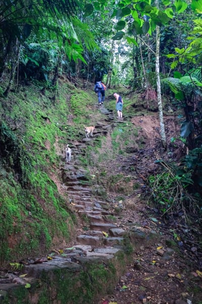Сходи до історії Стародавні сходи, що ведуть до Загубленого міста, Сьєрра-Невада де Санта-Марта