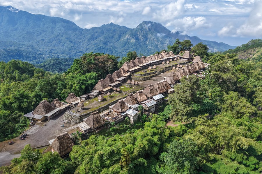 Комодський Дракон Комодо: дракон, що лежить на сонці у національному парку, Індонезія