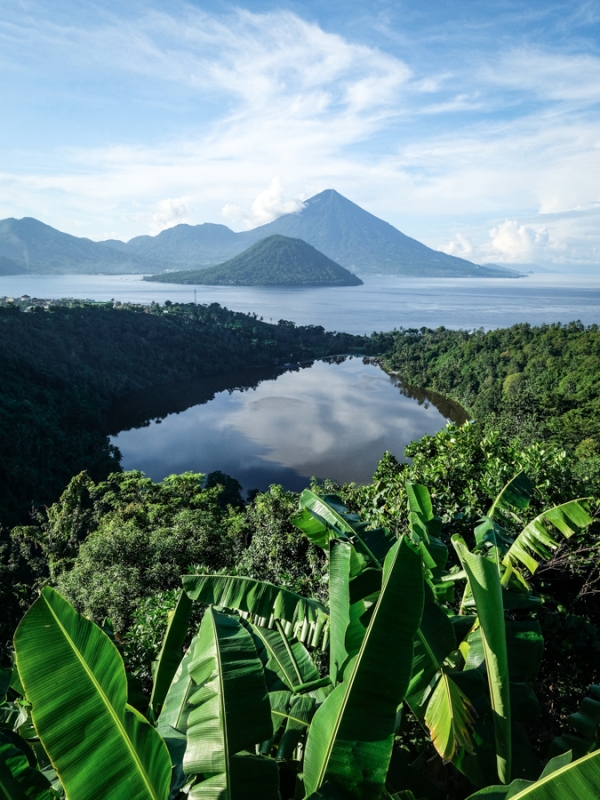 Барвистий ринок Тернате Місцевий ринок на Тернате: Яскраві фрукти, спеції та місцеві жителі, Індонезія