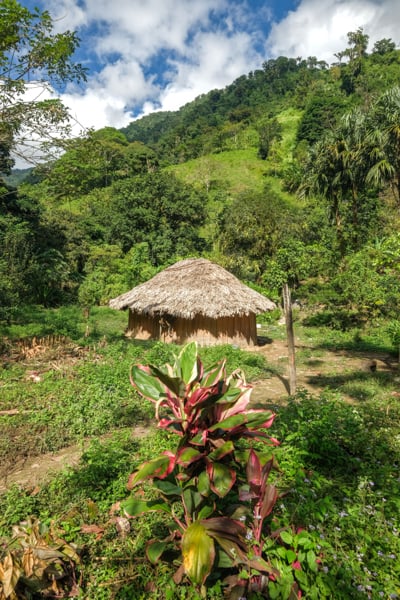 Загублене місто: панорама Вид на Загублене місто з висоти пташиного польоту, оточене джунглями.