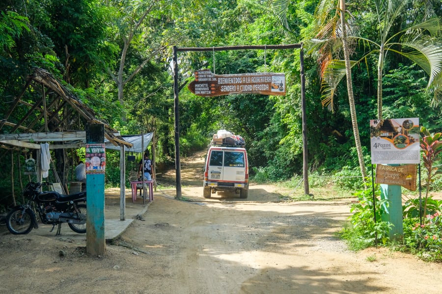 Сходи до історії Сходи, що ведуть до Загубленого міста, заховані в густих джунглях.