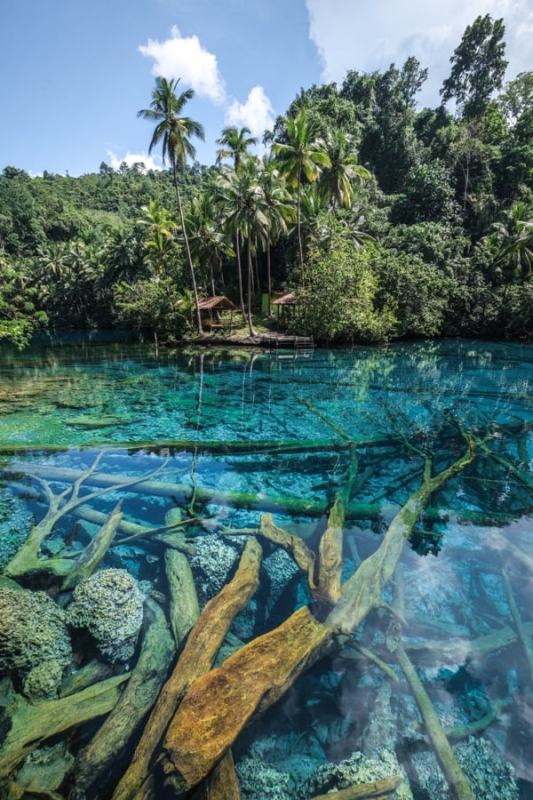 Paisu Pok Lake In Banggai: Bluest Lake In Indonesia Озеро Пайсу Пок у Банггаї: найблакитніше озеро в Індонезії 14