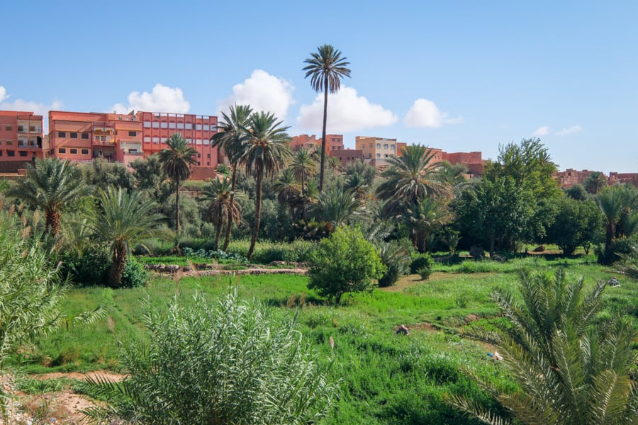 Сук: Серце торгівлі Місцевий ринок (сук) в Марокко, з великою кількістю товарів та колоритними продавцями